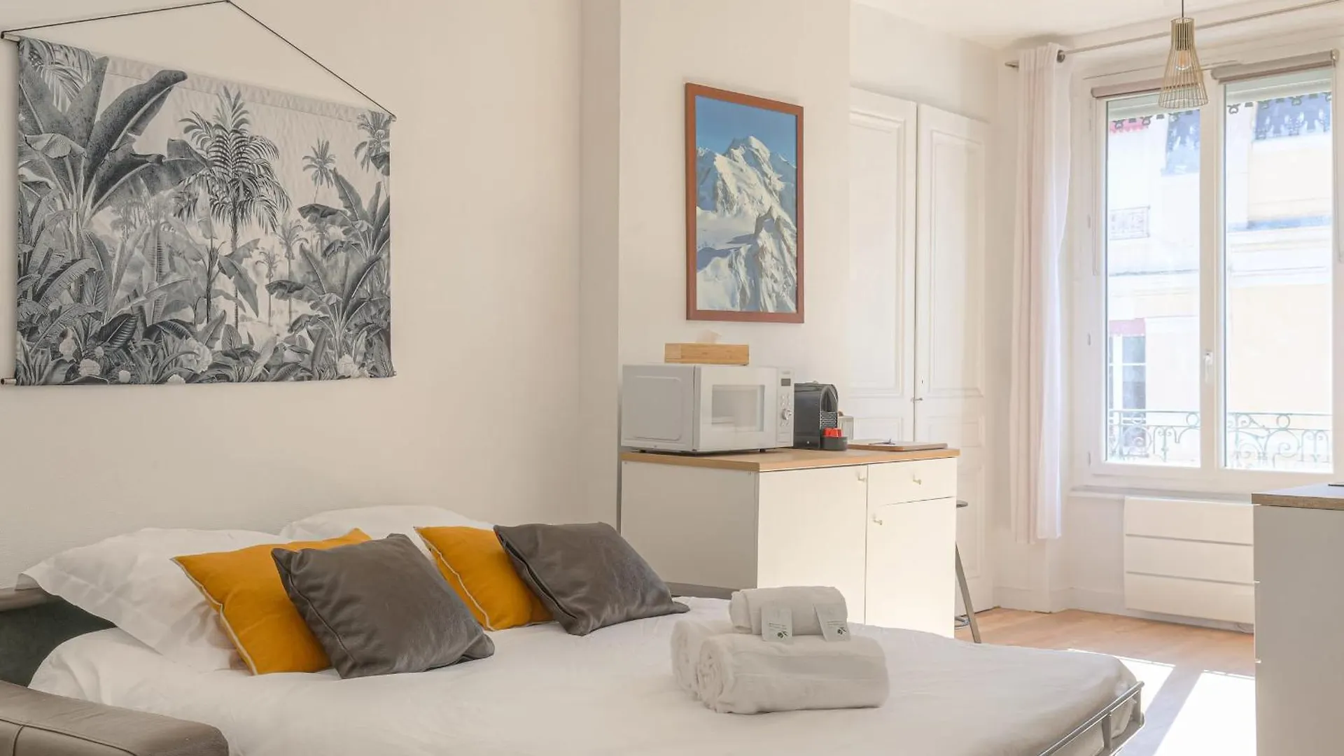Apartament Charmant Et Cosy Ideal Deplacement Pro Villeurbanne